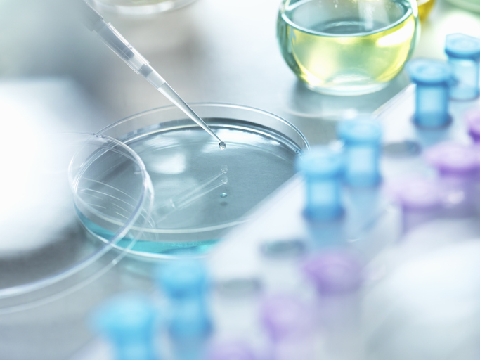 Photo shows scientist pipetting a sample into a petri dish/Getty Images
