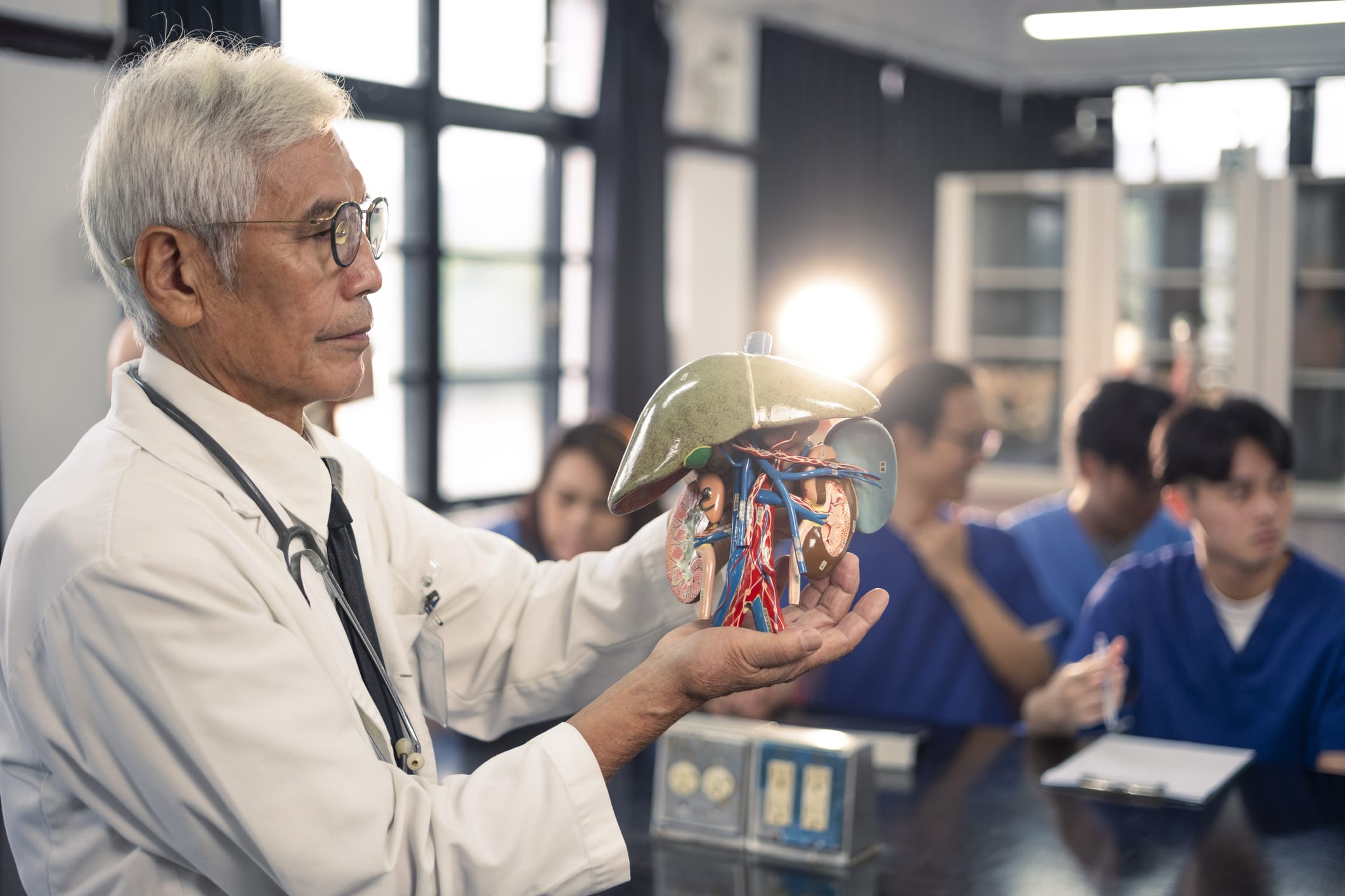 Doctor using a model of the liver to reach students