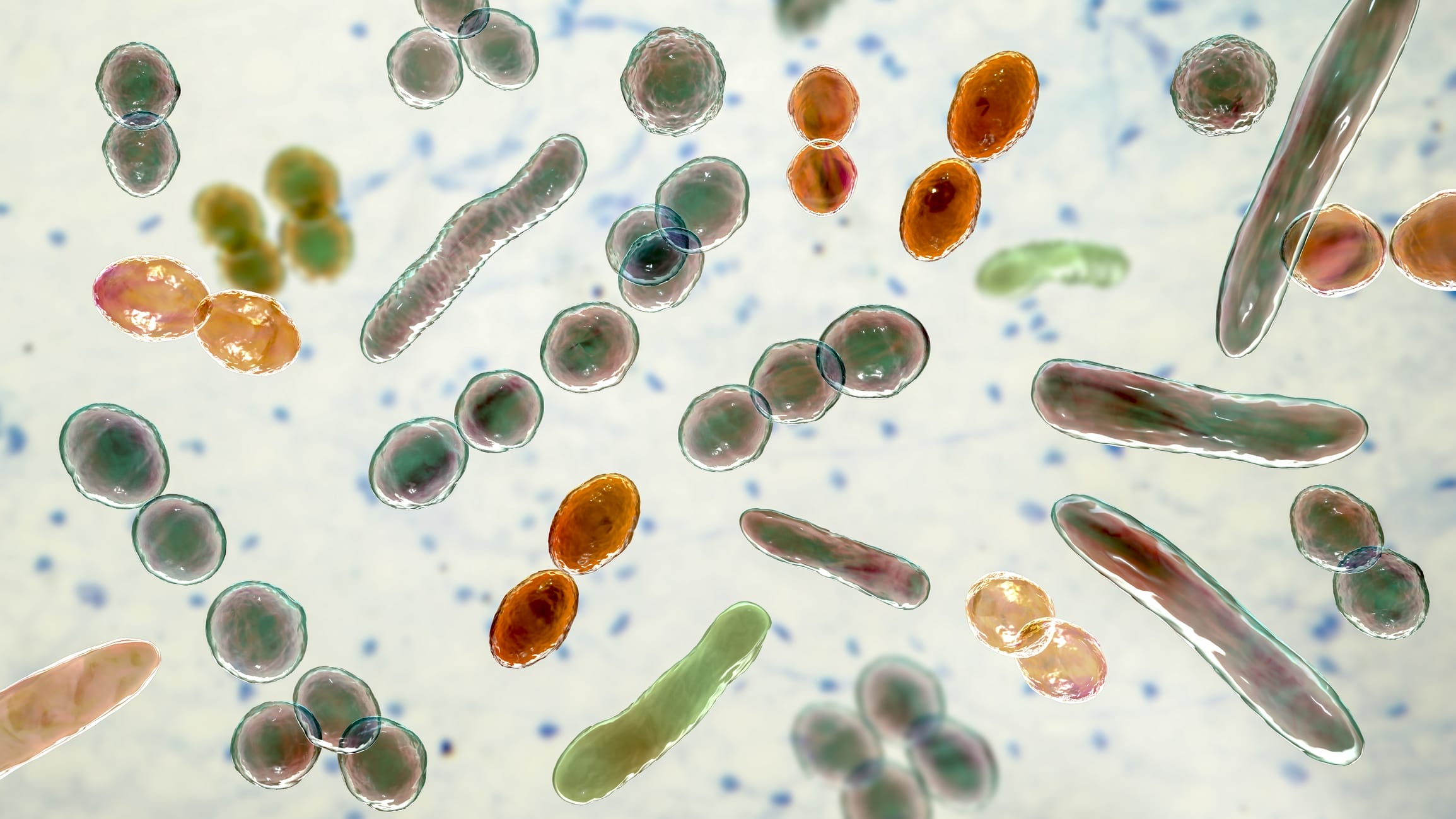 Image of several bacteria types